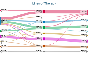 Lines of Therapy diagram